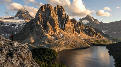 UPDATE: Hundreds of shade trees to be planted around new Fintry campsites, BC Parks confirms