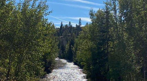 After record warmth over the weekend, mild temps continue in Kelowna this week